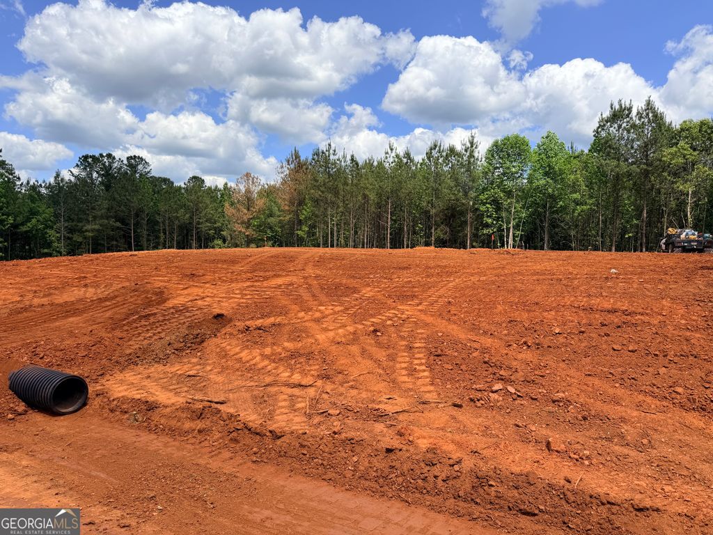 Photo of 200 Pioneer Trail #LOT 37, Hogansville, GA 30230 (MLS # 10763828)