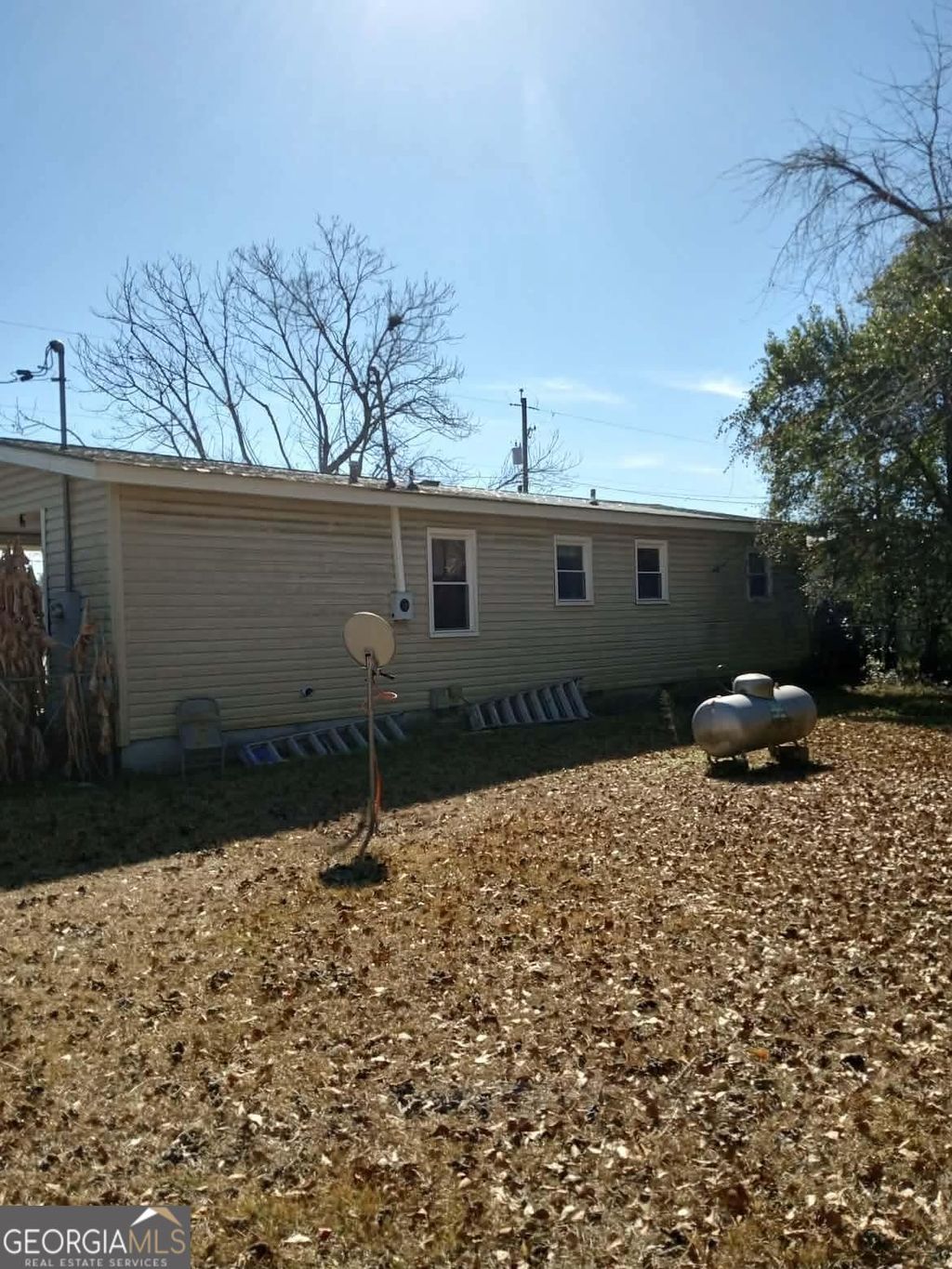 Photo of 136 Kinchafoonee Drive, Leesburg, GA 31763 (MLS # 10686999)