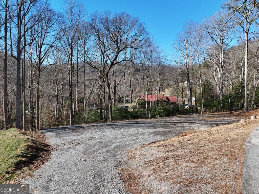 Photo of 1 Bauer Road, Hiawassee, GA 30546 (MLS # 10666133)