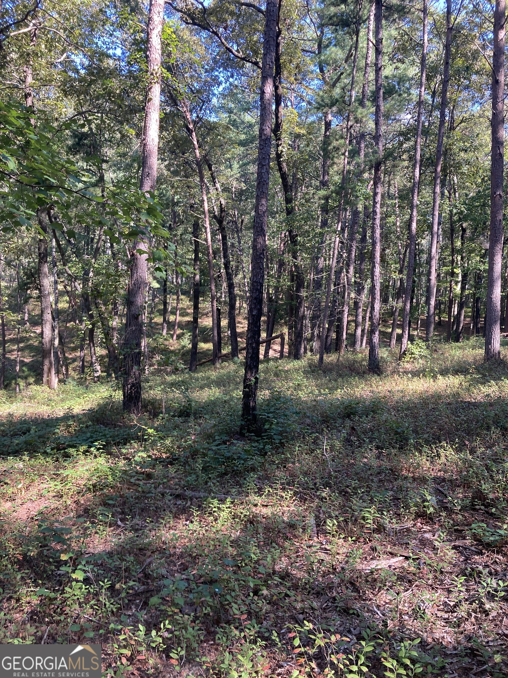 0 TRACT 3 Annandale Drive