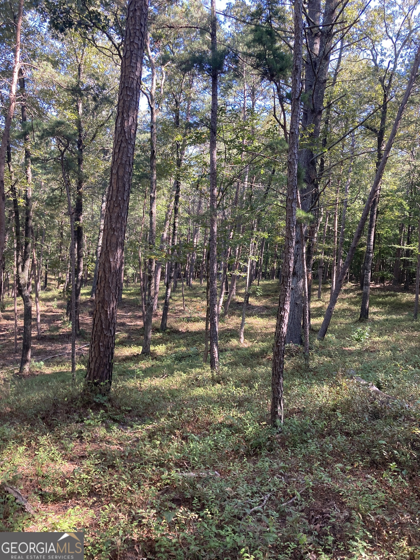0 TRACT 3 Annandale Drive