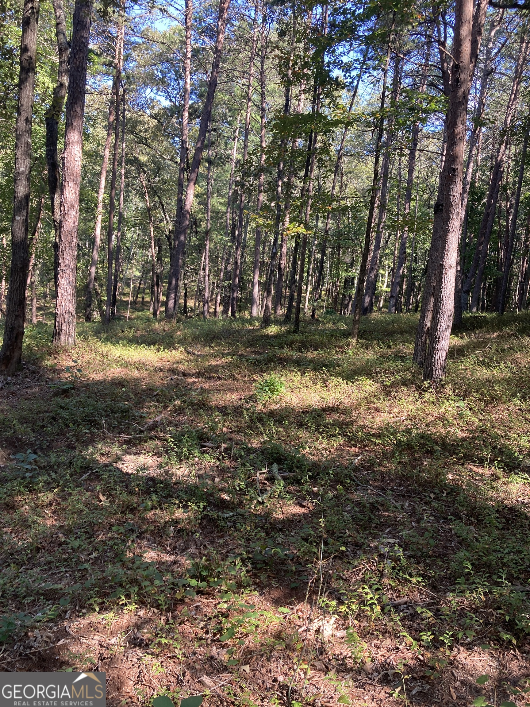 0 TRACT 3 Annandale Drive
