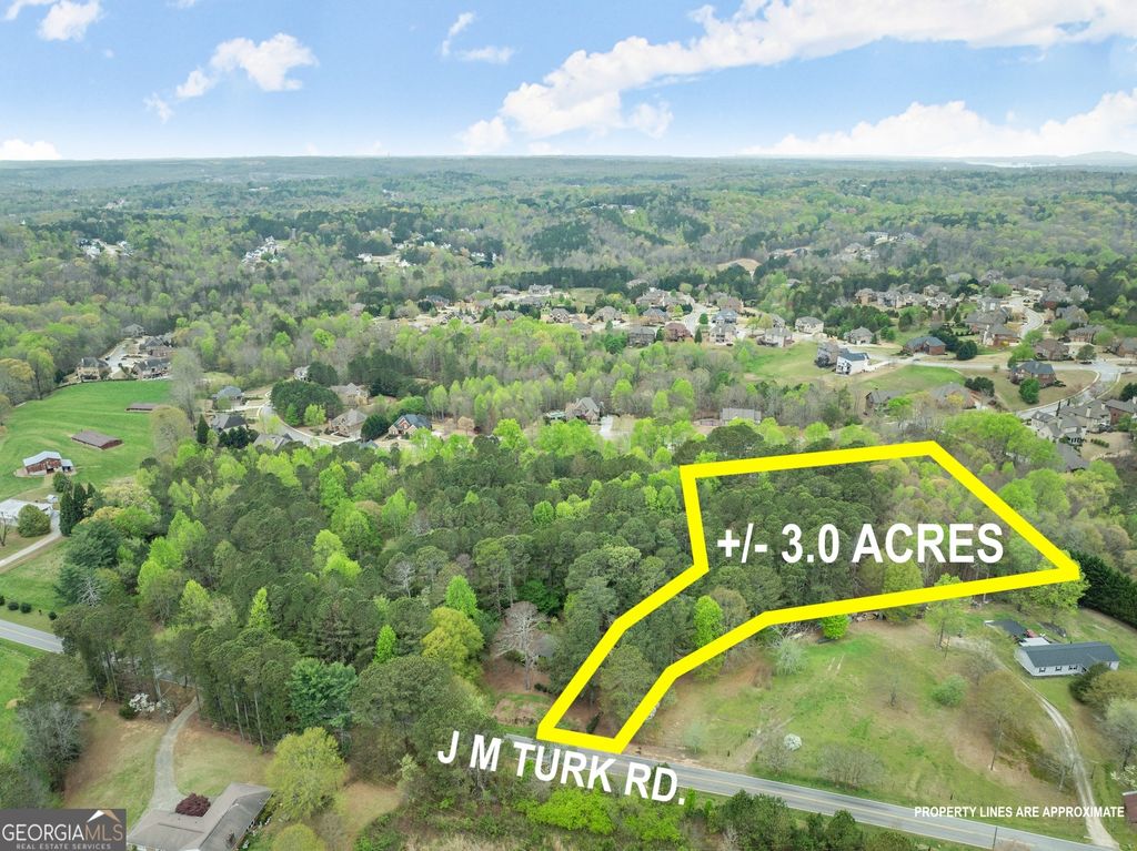 Photo of 4580 J M Turk Road, Flowery Branch, GA 30542 (MLS # 10767032)