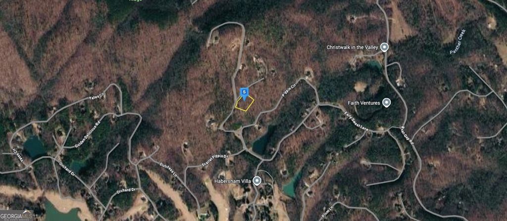 Photo of 124 Autumn Sweet Drive, Clarkesville, GA 30523 (MLS # 10688026)