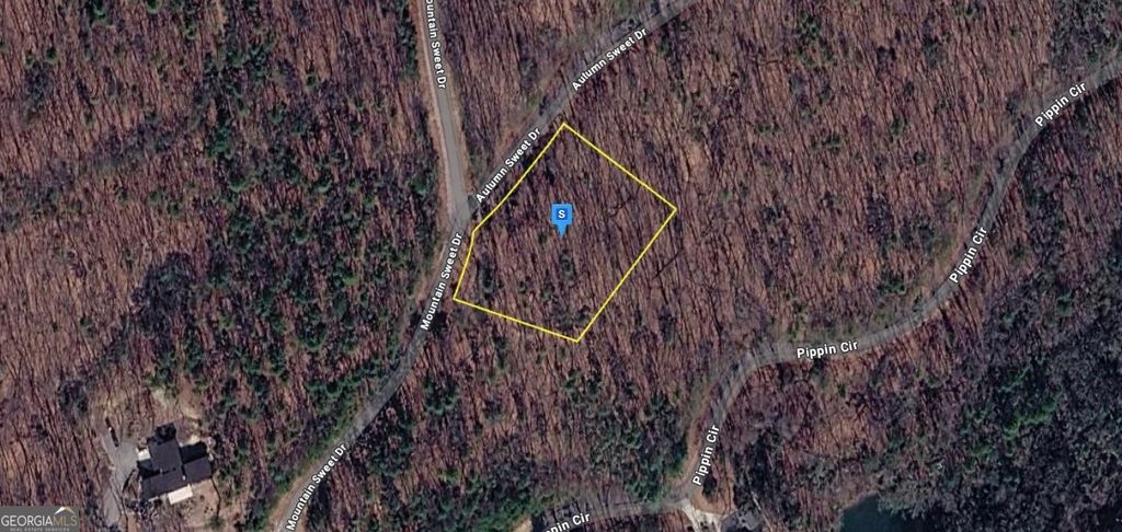 Photo of 124 Autumn Sweet Drive, Clarkesville, GA 30523 (MLS # 10688026)