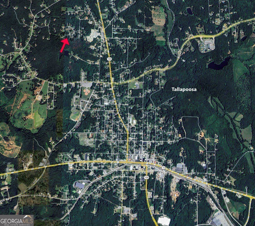 Photo of 174 Faye Street, Tallapoosa, GA 30176 (MLS # 10624453)