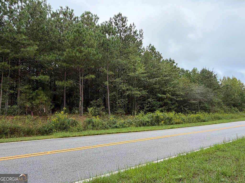 Photo of 541 Hamp Chappell Road, Carrollton, GA 30117 (MLS # 10853922)