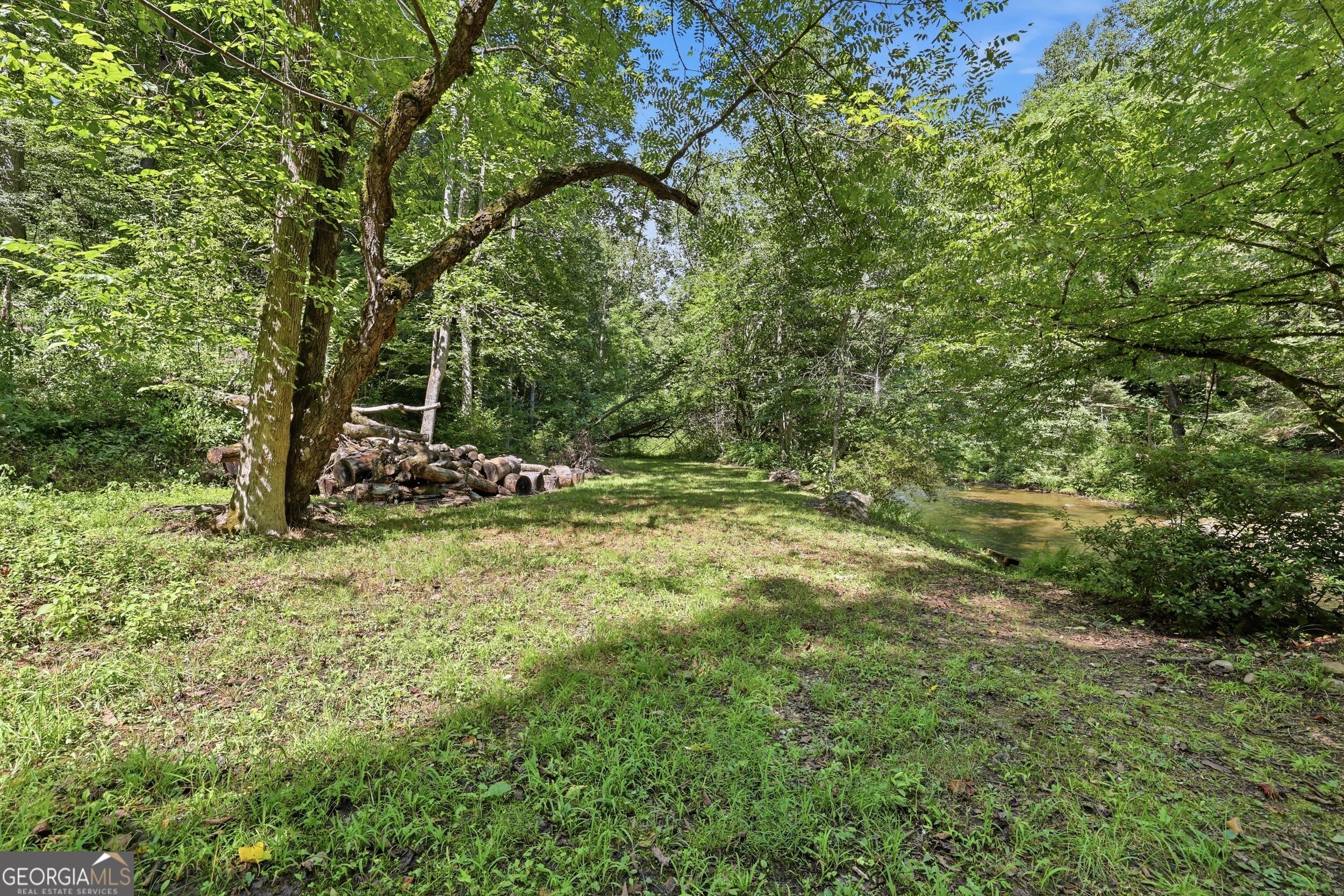 54 Dixon LN