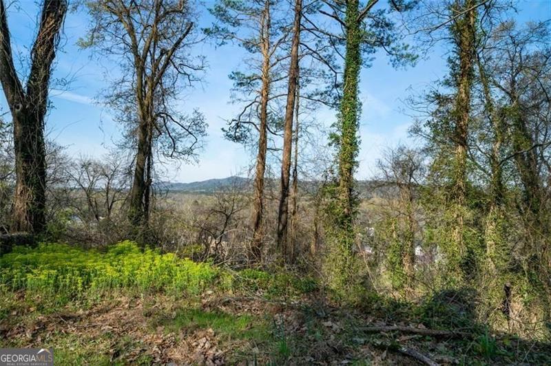 Mountaintop property with a view!! Minutes to downtown Rome - right off Broad Street. Great location!! Investor opportunity or build your dream home! So close to everything downtown Rome has to offer, restaurants, shopping, hospitals, Shorter College, Berry College, & Coosa River! Also selling two adjacent lots - 111 & 115 Lookout Cir. Can be sold alone or together. Currently Zoned Community Commercial. Seller has applied for re-zoning to single family residential. Call for more info!