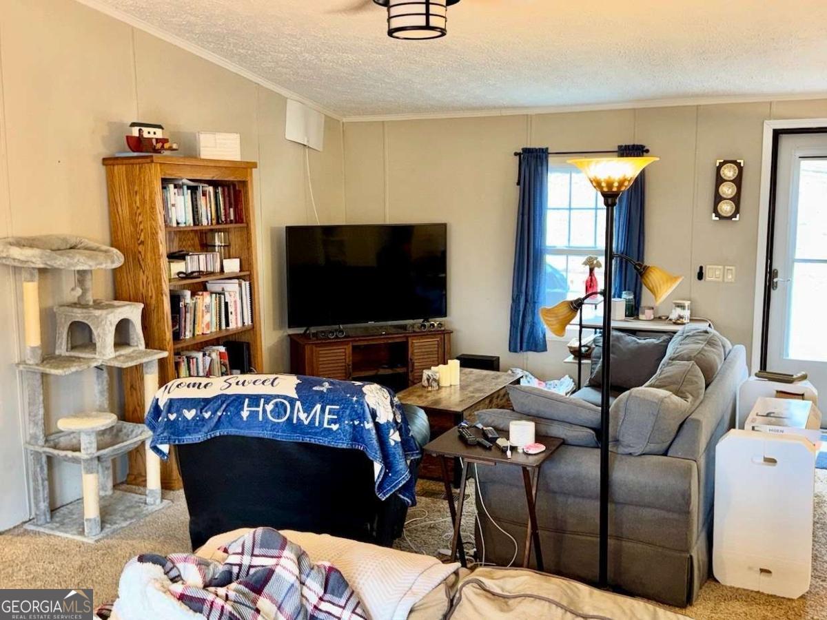 424 Mountain Oak TRL 66