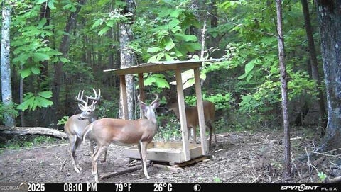 Photo for 132 ACRES Carlisle Gap Rd