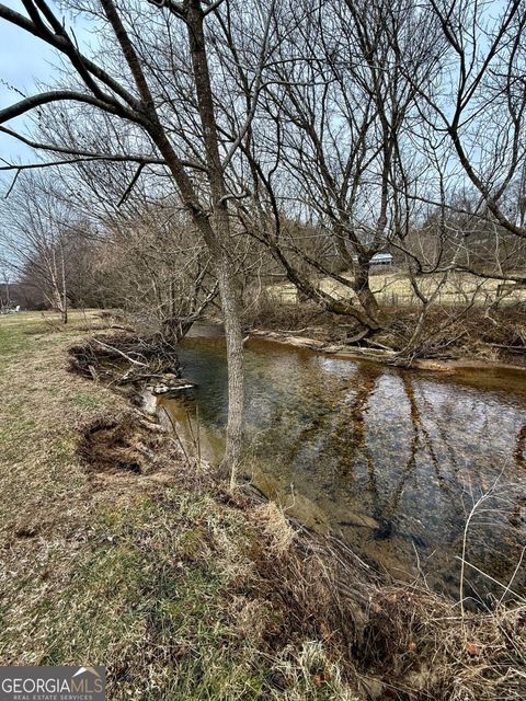 Photo of 118 Mountain Meadows Drive #118, Morganton, GA 30560 (MLS # 10682905)