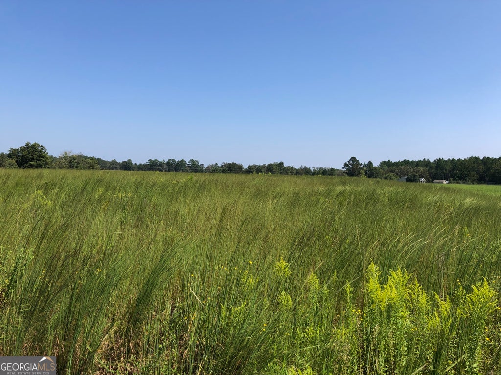 Photo of 0 Ga Highway 126, Cochran, GA 31014 (MLS # 10779990)