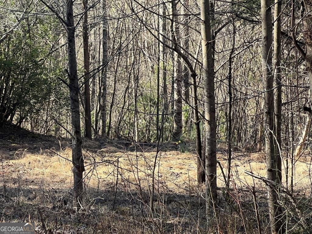 Photo 1 of 59 — LOT 59C Mountain Harbour, Hayesville, NC 28904