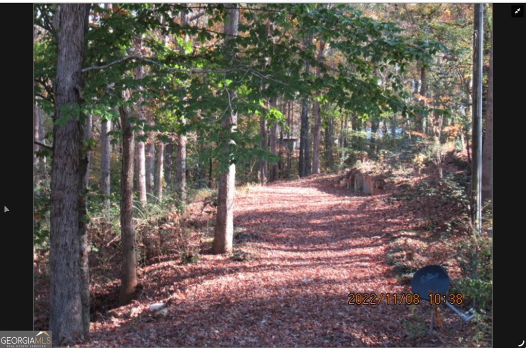 Photo of 76 Herring Gull Court, Monticello, GA 31064 (MLS # 10680430)