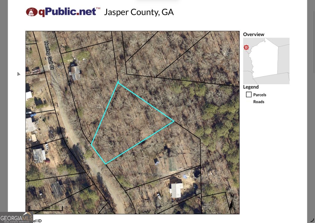 Photo of 76 Herring Gull Court, Monticello, GA 31064 (MLS # 10680430)