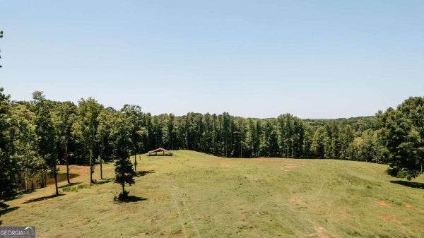 MITCHELL FARM RD, COLBERT, GA 30628 - Image 67a42ae93028cf89757454ec3febb16b/315636729