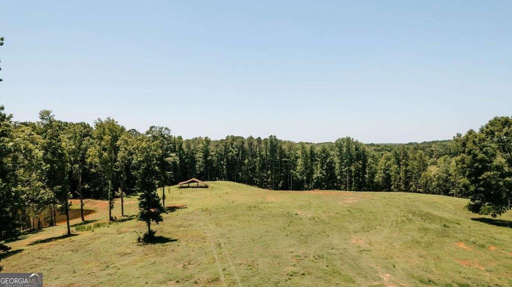 Photo of 0 Mitchell Farm Road, Colbert, GA 30628 (MLS # 10783085)