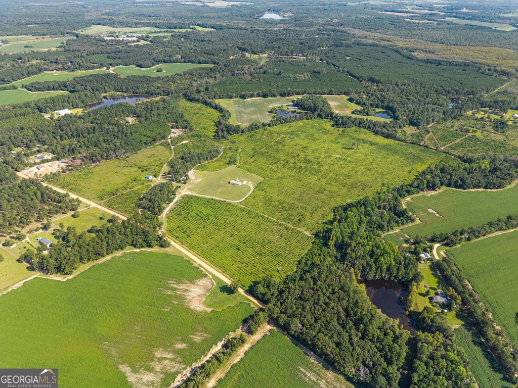 Photo of 1802 Moore Road S, Register, GA 30452 (MLS # 10845273)
