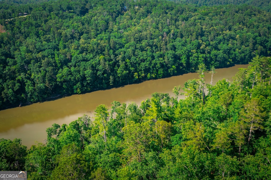 Photo of 354 Myna Drive, Ellijay, GA 30540 (MLS # 10791603)