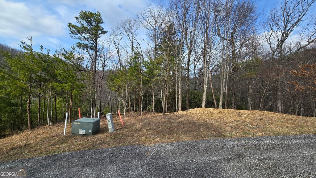 Photo of 35 Winding Vw Trail, Clayton, GA 30525 (MLS # 10737991)