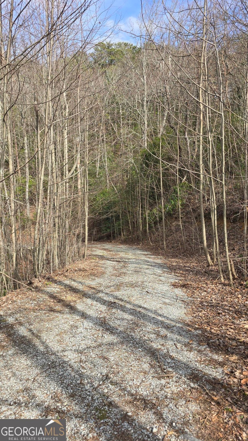 Photo of 35 Winding Vw Trail, Clayton, GA 30525 (MLS # 10737991)