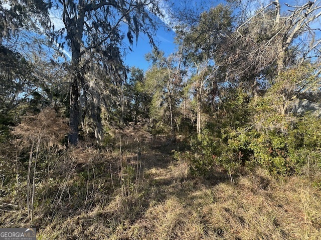 Lake views are great to wake up to. This beautiful lot will make a lovely homesite for your custom home. So close to I95 and yet serene. Listen to the birds and watch the fish jump. Nature and yet a short drive to Brunswick, Kingsland, or Jacksonville.