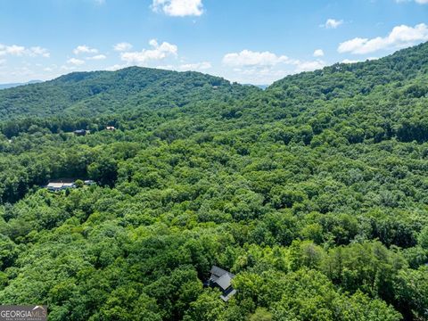 A home in Blue Ridge