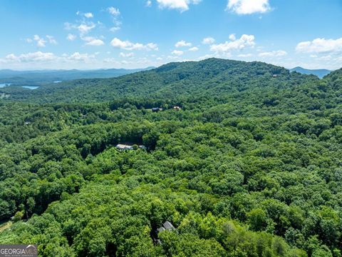 A home in Blue Ridge