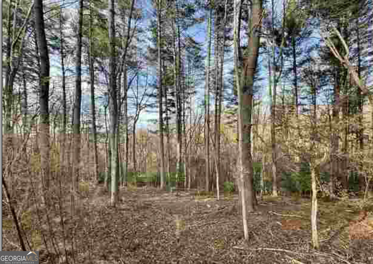 0 Dean Mountain RD
