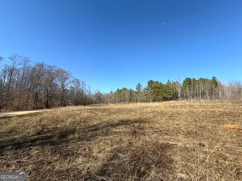 0 Ten Oaks RD Buchanan GA 30113