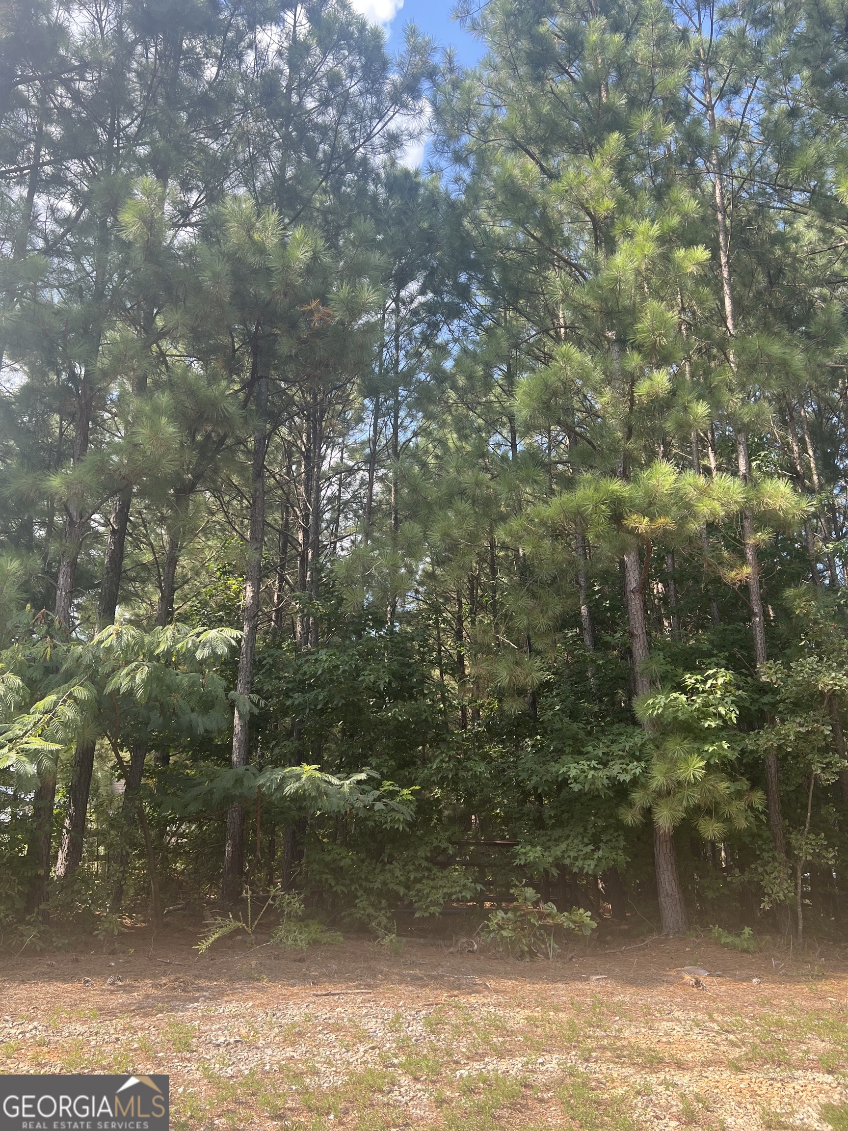 Fantastic opportunity to custom-build your dream home. Bring your plans and your vision. Seller does not have a soil test or plat. Priced below appraised value.