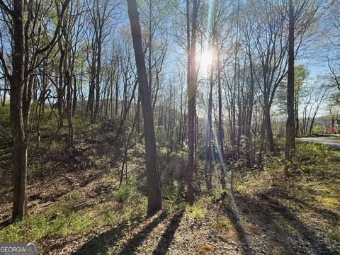 0 Thunderhead Sky Valley GA 30537