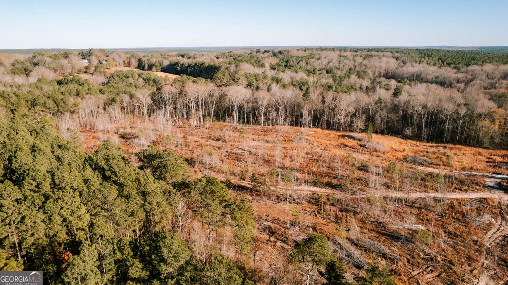 Photo of 0 Washington Road, Lexington, GA 30648 (MLS # 10658301)