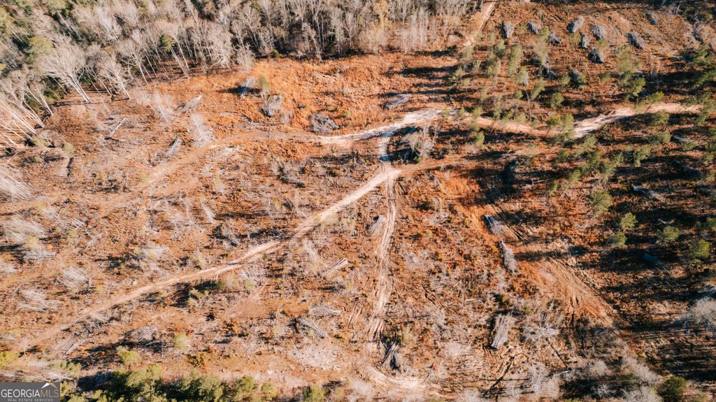 Photo of 0 Washington Road, Lexington, GA 30648 (MLS # 10658301)