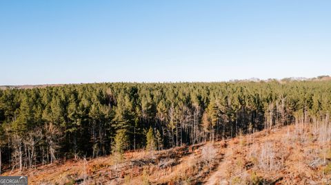 Photo of 0 Washington Road, Lexington, GA 30648 (MLS # 10658301)