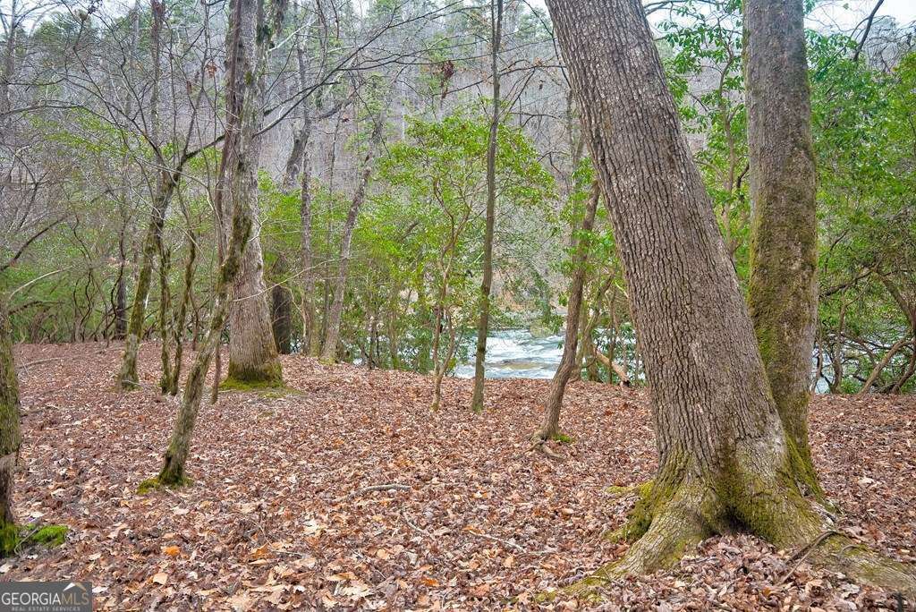 Photo of 8 Brunton Circle, Ellijay, GA 30540 (MLS # 10761106)