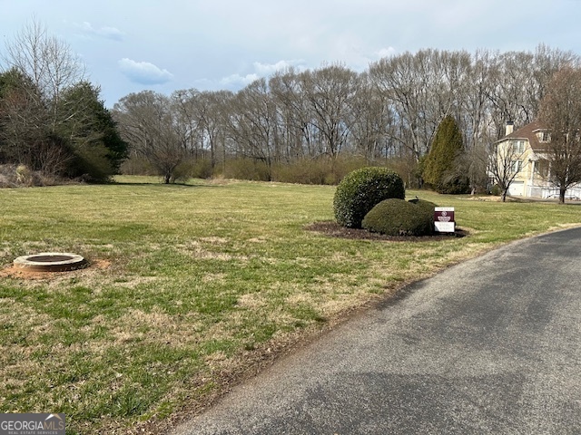 Clarkesville, Georgia 30523, United States, ,Land,Active,87231