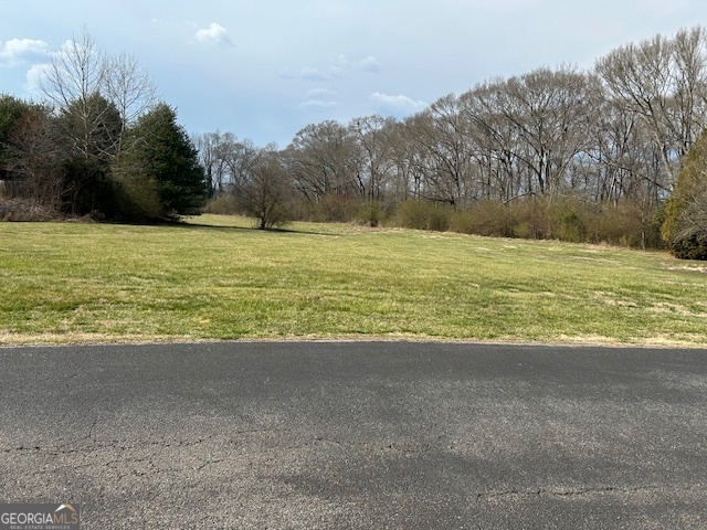 Clarkesville, Georgia 30523, United States, ,Land,Active,87231