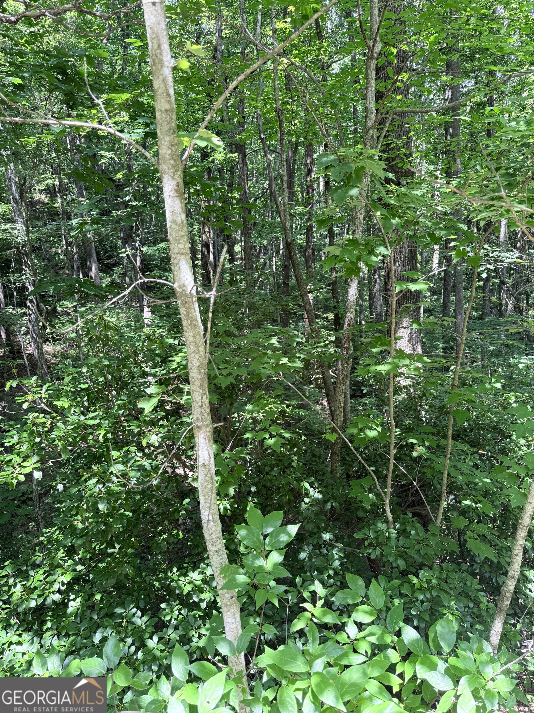 LOT 856 Larkspur LN