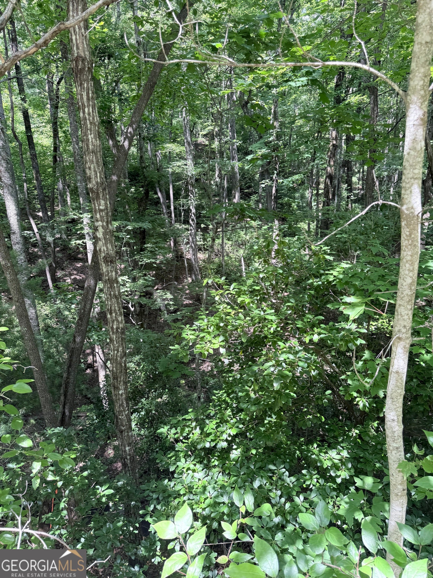LOT 856 Larkspur LN
