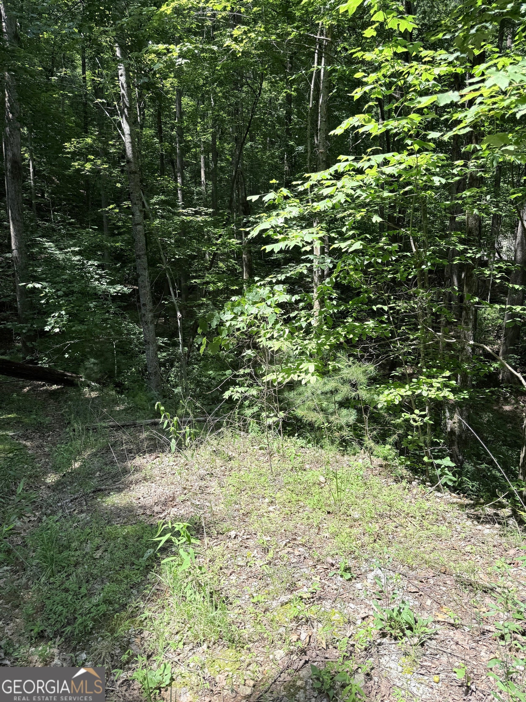 LOT 856 Larkspur LN