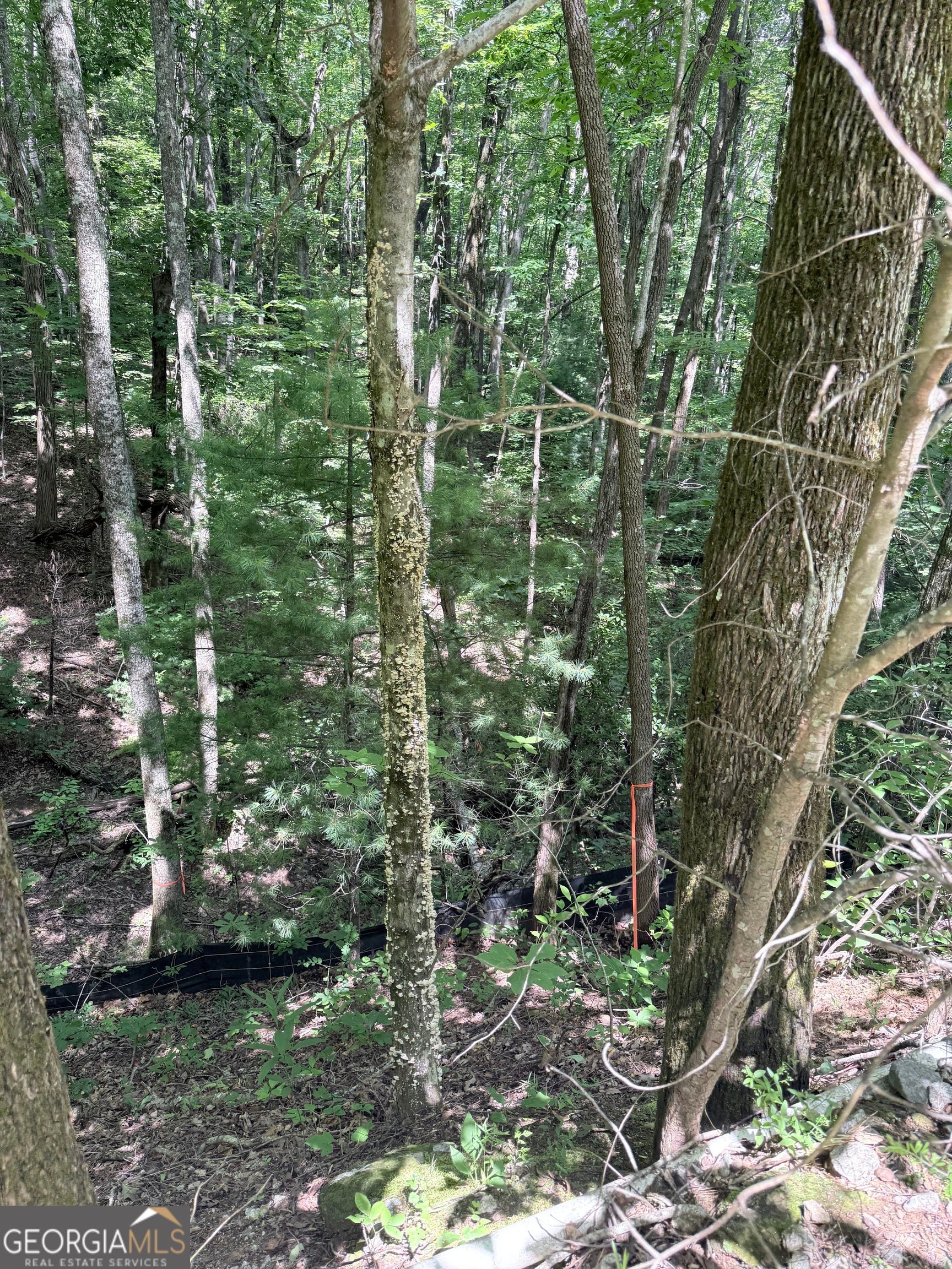 LOT 856 Larkspur LN