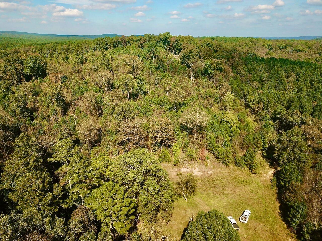 If you are looking for quiet, private place to build your dream home, this is it. This property has just over 17 Acres situated just outside of Adairsville and only a mile from Barnsley Garden Resort. The Property has a mixture of timber with a cleared area perfect for building. Along with that the property also has an artesian well onsite. Property already has a driveway, power, and a well onsite. Call today to set up a time to check out this listing!