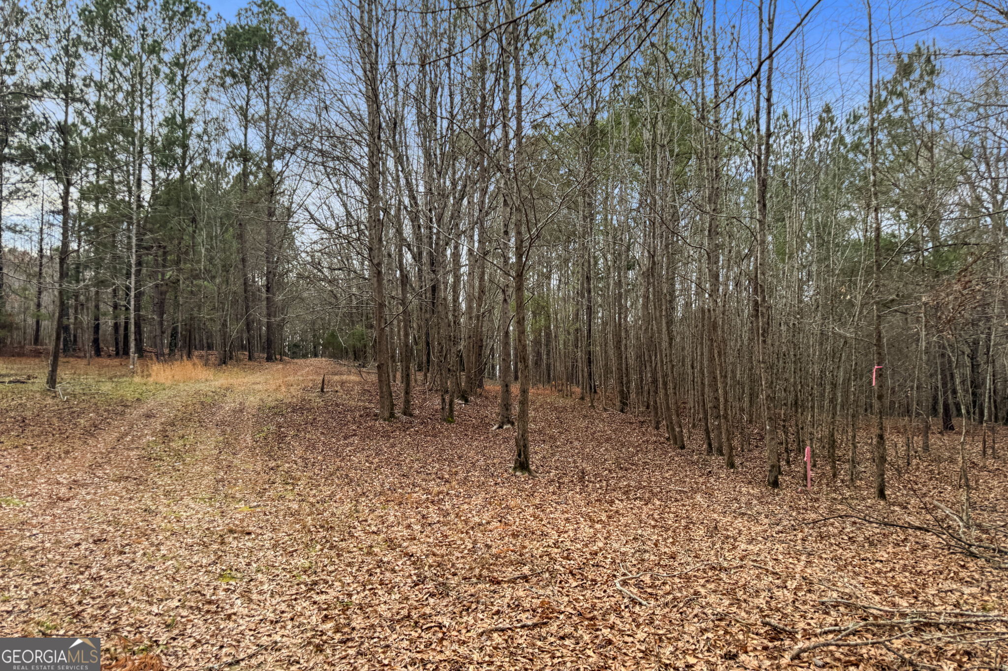 Meansville, Georgia 30256, United States, ,Land,Active,2831