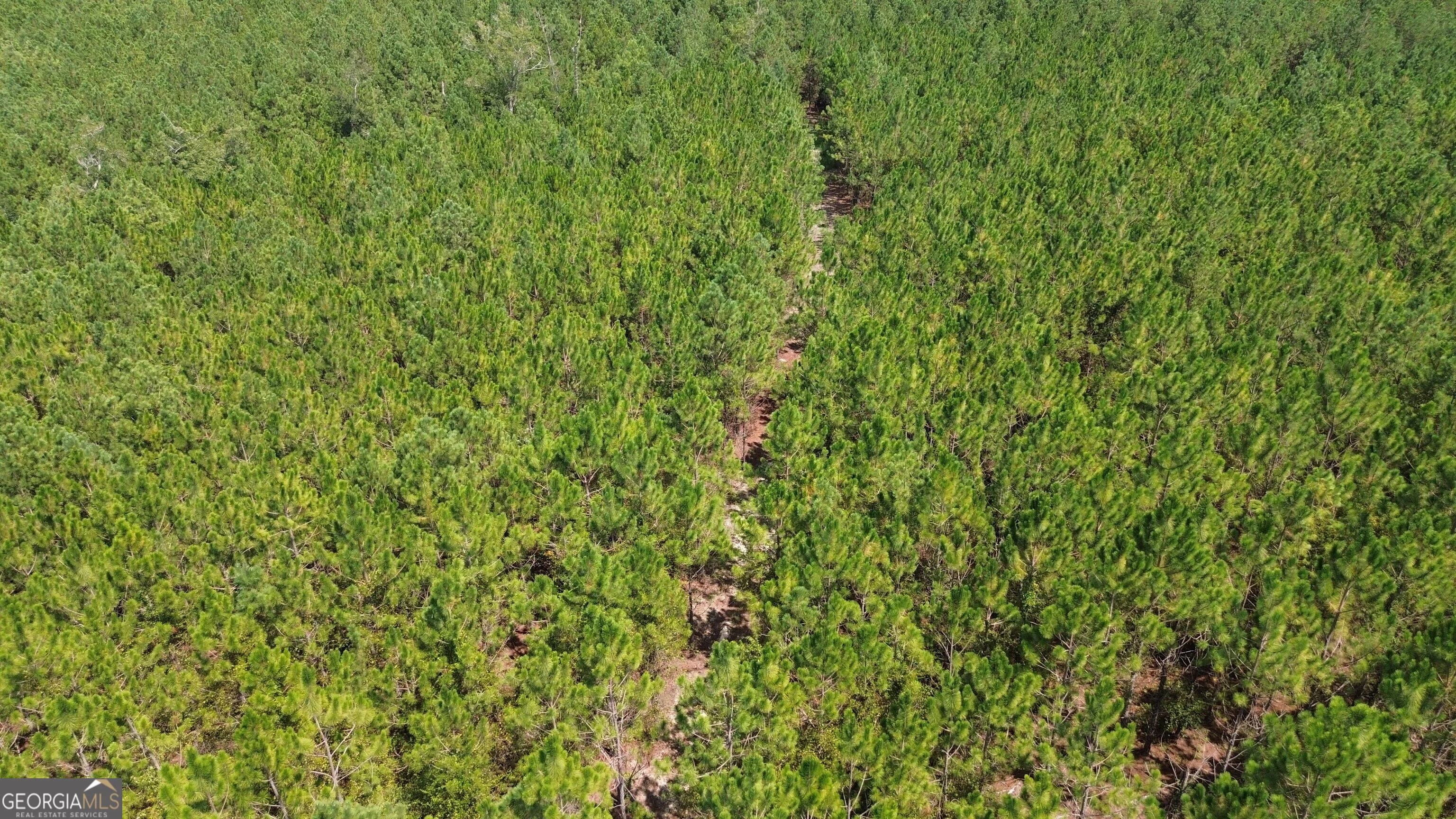 TRACT 3 Penny Morris Road, Baxley, GA, 31513