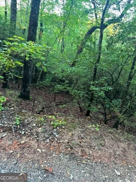 Photo of 34 Amicalola Woods Road, Dawsonville, GA 30534 (MLS # 10872754)