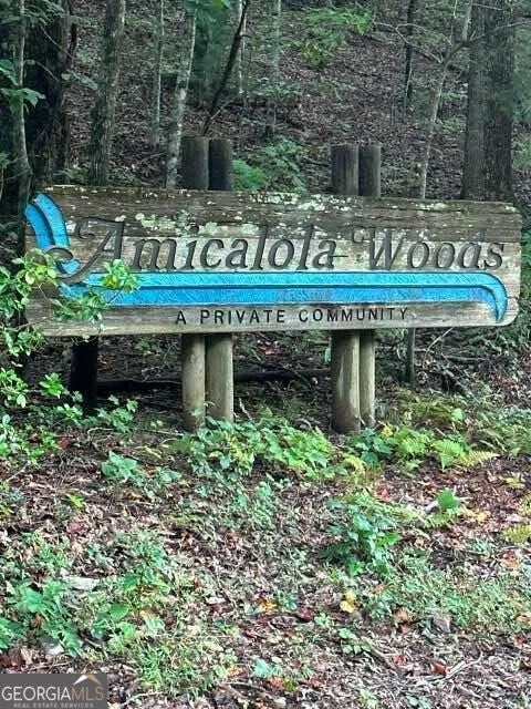 LOTS 3&4 Amicalola Woods RD
