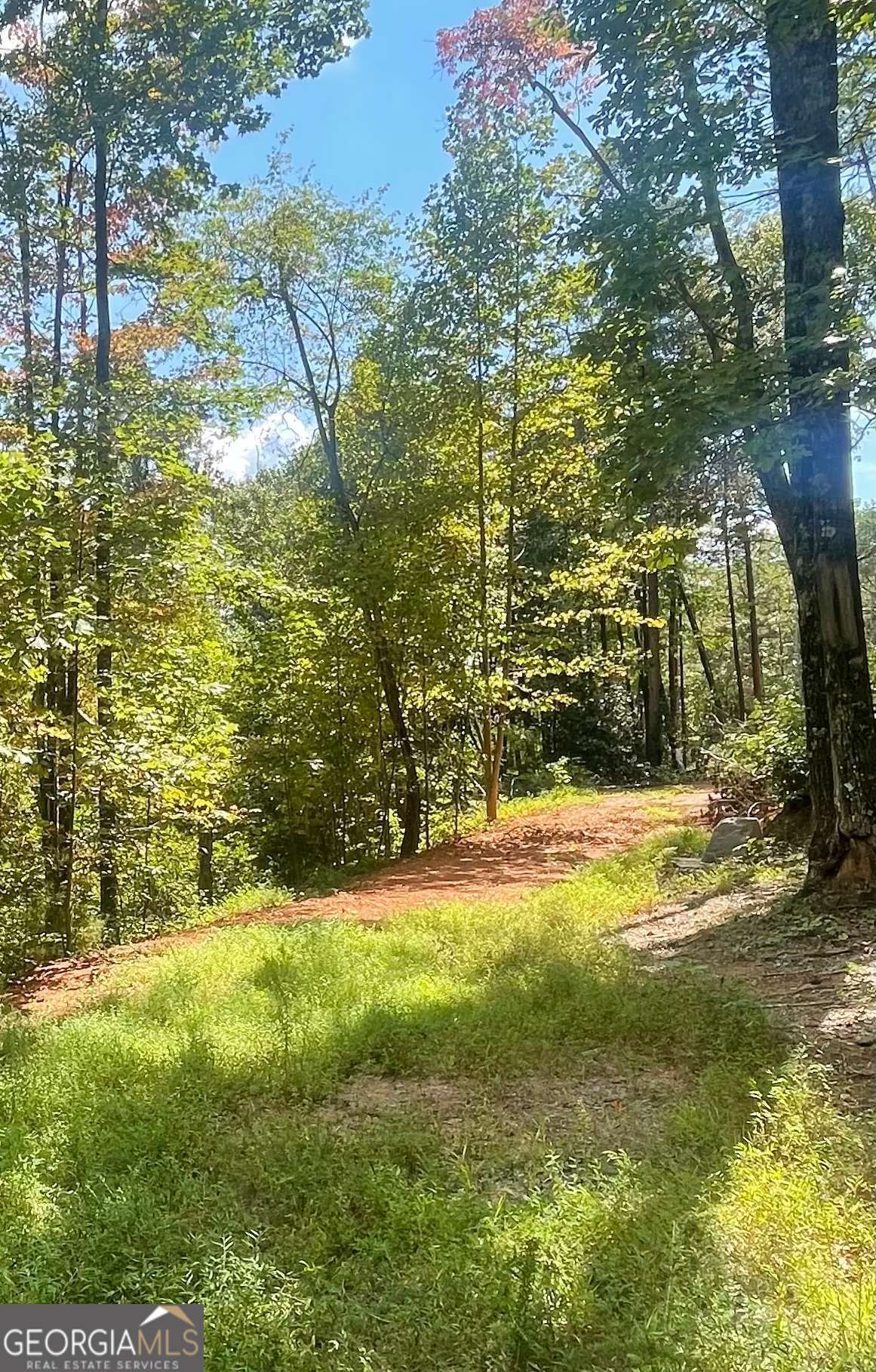 Discover the perfect canvas for your dream home or mountain retreat with these 2 combined lots totaling 10.3 acres of beautifully sloped land. Tucked away in a serene, mountainous setting, these lots offer peace and privacy you've been looking for - ideal for anyone seeking a quiet lifestyle surrounded by nature. The lots feature a concrete driveway in place, leading all the way up to a graded site, making it easy to envision the future home. With a water well and septic tank in place, much of the groundwork has been done - bring your plans and start building. An added bonus, you're just a short drive from the town of Helen, which gives you a convenient access to the shops, dining and entertainment - without sacrificing the peace and quiet of the nature. Whether you're looking to build your dream home, a vacation retreat, or simply invest, these lots offer endless possibilities. Don't miss a chance to own a piece of peaceful mountain paradise, while still being close to fun and charm of Helen, GA.