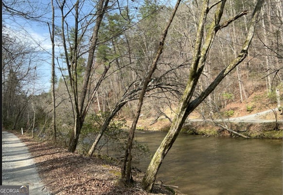 ADDRESS PRIVATE, ELLIJAY, GA 30540 - Image 685ad394bfe2004d0f3ecaa34e1229ee/2944026069